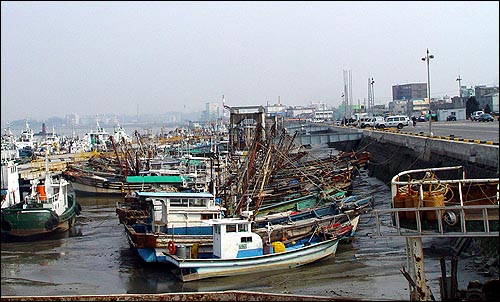 쌀 수탈과 강제징용의 현장 군산 내항. 현재는 쌓이는 퇴적물로 항구기능 상실과 함께 역사의 현장이 사라질 위기에 처해 있다. 